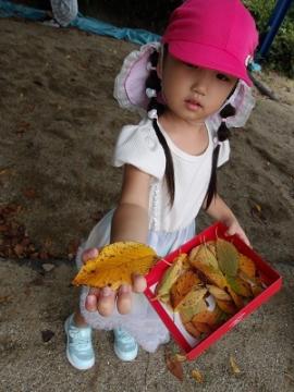 幼児が綺麗な色の落ち葉を見つけてみせる様子