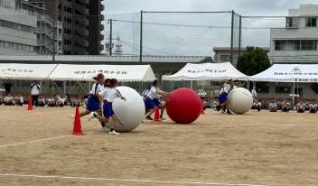 大玉運びの様子
