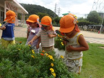 花を見る幼児
