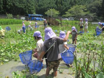 体験活動推進事業で伊勢自然の里のじゃぶじゃぶ池に入る幼児