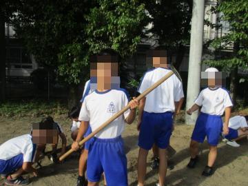 生徒が鍬を持って校庭の草を抜いています。