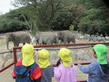 セントラルパークでゾウを見ている園児たちの様子