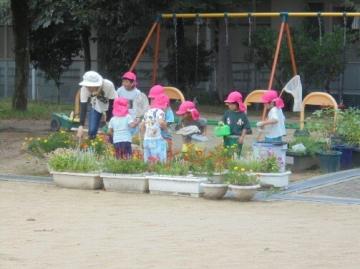 4歳児が虫捕りをしている様子