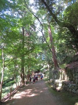 摩仁殿の下の道を歩いている児童たちの様子