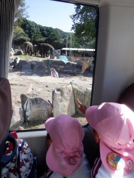 園児がサファリでバスから動物を見ている様子