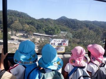 園児がサファリでゴンドラに乗っている様子