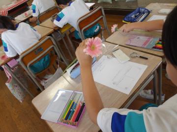 手元で花を観察しているところ