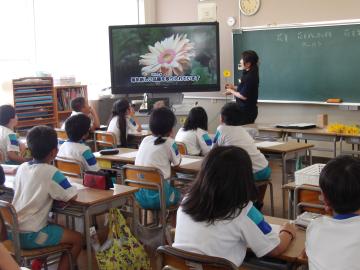 モニターで拡大した花の写真を見ているところ