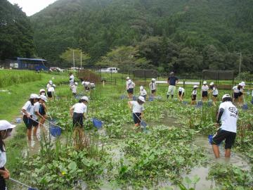じゃぶじゃぶ池の中に入って網ですくった生き物を観察する児童たちの様子