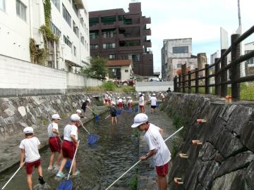 川で活動する児童の様子。川の周りは高い建物が多いです。
