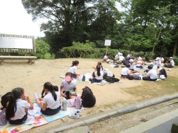 展望広場で弁当を食べる4年生の様子