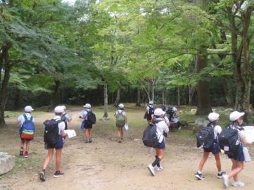 ウォークラリーで3つの木をさがす4年生の様子