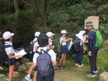 弁慶の鑑井戸でクイズに答える4年生の様子