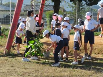 屋外で草ひきをがんばる児童たちの様子