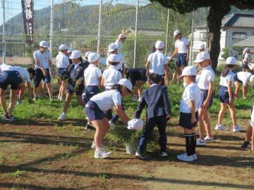 屋外でさらに別の場所の草ひきをがんばる児童たちの様子