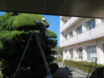 別の前庭を剪定する作業者の様子