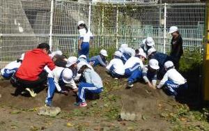 児童たちが畑の野菜を真剣に掘っています。