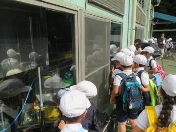 窓越しに調理場を見学する2年生