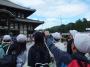6年生が東大寺を見学している。
