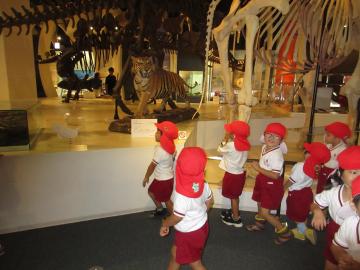 館内で見学する3歳児と恐竜の化石の様子