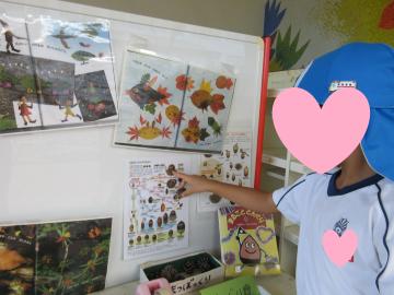 ドングリの種類を調べている様子