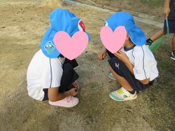 ドングリを拾っている様子