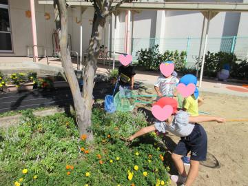 虫取りをしている様子