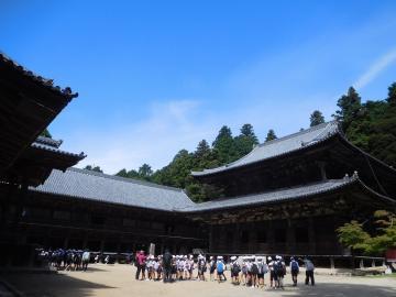 青空の下にお寺の大きな屋根が広がっている風景。