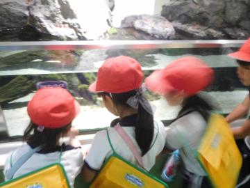 水槽をのぞき込む3人の児童の様子。