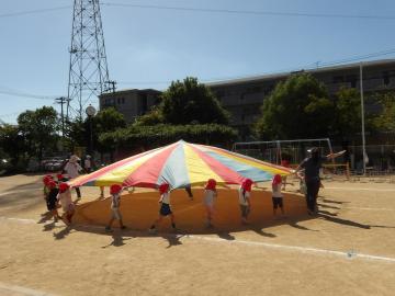 パラバルーンをする幼児