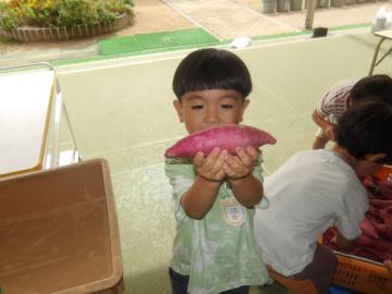 さつまいもを持つ幼児