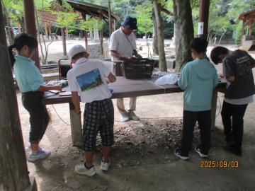 焼き板を作っている。