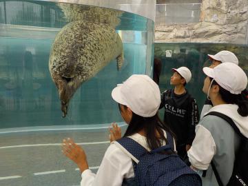 京都水族館での様子