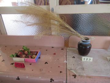 ザクロとすすき