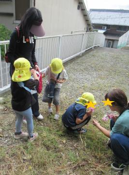 どんぐり拾いをする子ども達