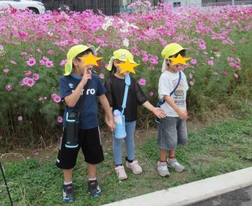 コスモスと園児3人で記念撮影