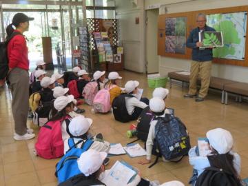 キケンな植物や動物の説明