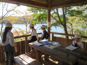 あずまやで水鳥の観察をする3年生