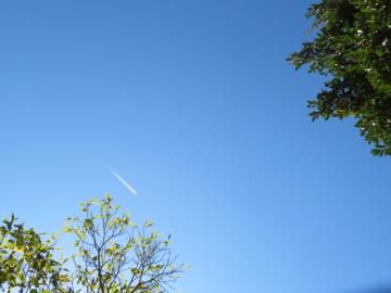 すみわたる青空のようす