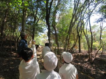 コゲラの巣穴を見つけた3年生