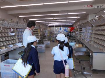郵便局の仕分け室を見学する2年生