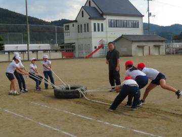 タイヤを引くようす