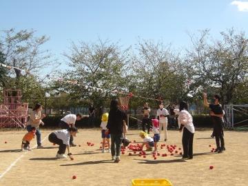 園庭で保護者も一緒に玉入れをする様子