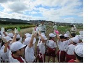 芋の掘り方について聞く様子