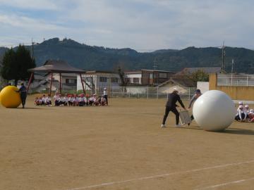 校庭で中学年の児童が大玉転がしをしている様子