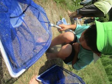 タガメを捕まえた