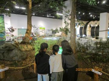 科学館の館内でジオラマを見ている児童たちの様子