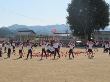 校庭で低学年ダンシング玉入れで踊る様子