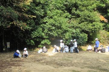 木の実を拾い集めている様子