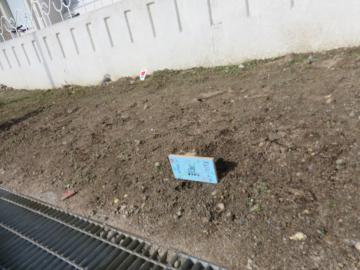 児童が作った「花壇を踏まないで」の看板